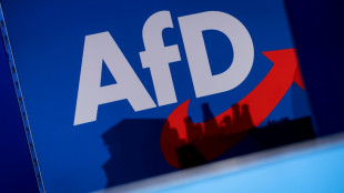 Verfassungsschutz in Niedersachsen stuft AfD zum Beobachtungsobjekt hoch