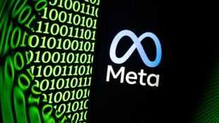 Meta se lance sur le march&eacute; des logiciels &eacute;crits par l'IA, domin&eacute; par Anthropic et OpenAI