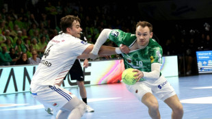 HBL: Füchse dank Welthandballer Gidsel wieder Tabellenführer