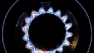 Il prezzo del gas apre in rialzo a 52,14 euro al megawattora