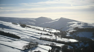 Versorger: Gasreserven in Großbritannien "besorgniserregend niedrig"