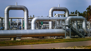 Il prezzo del gas chiude in rialzo a 28,07 euro