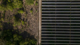 Colombia acoge una cita in&eacute;dita para salir de los combustibles f&oacute;siles