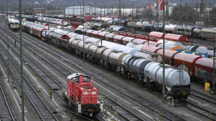 Allemagne: la moiti&eacute; des trains de marchandise &agrave; l'arr&ecirc;t apr&egrave;s une panne g&eacute;ante des communications