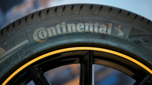 Continental va c&eacute;der sa division ContiTech pour 4 milliards d'euros