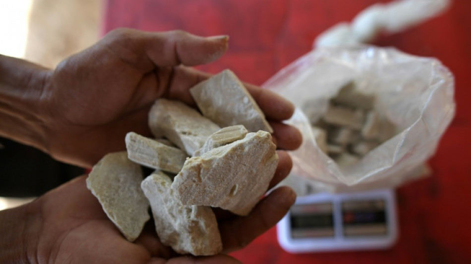 Vier M&auml;nner nach Hamburger Rekordfund von Kokain in Hannover angeklagt