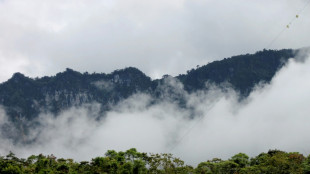 Papouasie-Nouvelle-Guin&eacute;e: un projet minier fait craindre un d&eacute;sastre environnemental