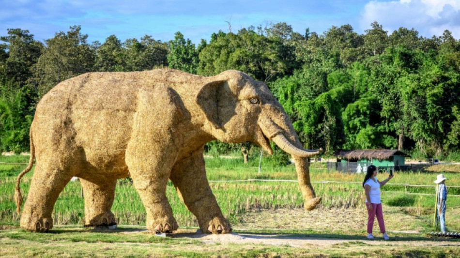 Betrunkener will 30 Kilogramm schwere Elefantenstatue aus Hotel in Mainz stehlen