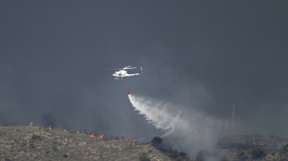 Mindestens zw&ouml;lf Tote bei verheerendem Waldbrand in Spanien - Opfer wohl Ausl&auml;nder