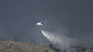 Mindestens zw&ouml;lf Tote bei verheerendem Waldbrand in Spanien - Opfer wohl Ausl&auml;nder