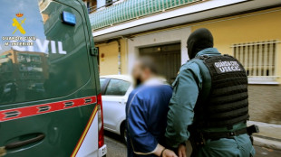 Detienen en Espa&ntilde;a a un hombre que distribu&iacute;a propaganda del EI