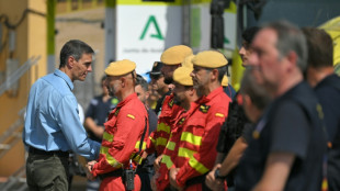 Spanischer Regierungschef S&aacute;nchez besucht Waldbrandgebiet in Andalusien