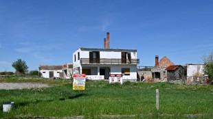 Serbia da luz verde a un pol&eacute;mico proyecto minero para extraer litio