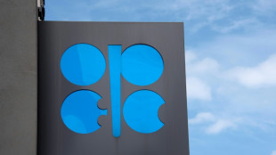 Opec+ plus to raise oil production by 137,000 barrels a day in November