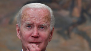 &iquest;Hasta cu&aacute;ndo podr&aacute; un Biden debilitado movilizar a occidente contra Rusia?