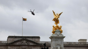 Un hombre detenido tras chocar un autom&oacute;vil contra la verja de Buckingham Palace
