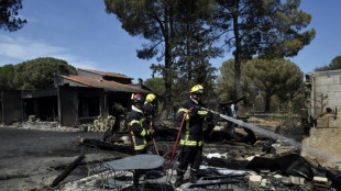 Pyr&eacute;n&eacute;es-Orientales: incendie encore sous surveillance de 220 pompiers