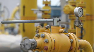 Il gas conclude in rialzo (+3,9%) a 44,4 euro al Megawattora