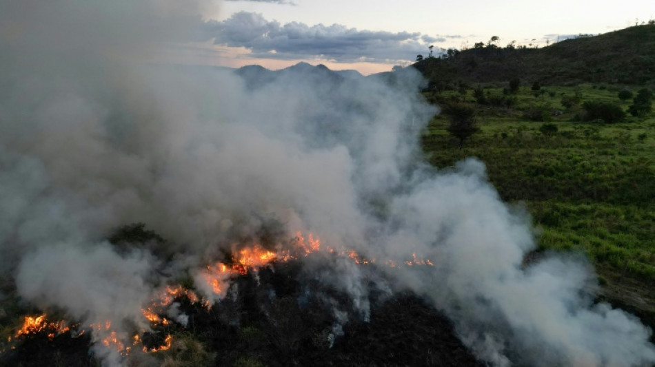 Quem põe fogo na Amazônia?