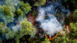 Feuerwehrleute und Hubschrauber bek&auml;mpfen Brand in Naturschutzgebiet in Niederlanden