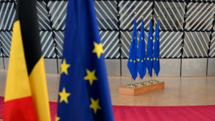 EU strikes last-ditch deal on climate targets as COP30 looms