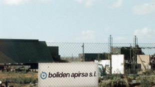 Un tribunal espa&ntilde;ol exime a una empresa sueca de pagar por el desastre ecol&oacute;gico de Aznalc&oacute;llar