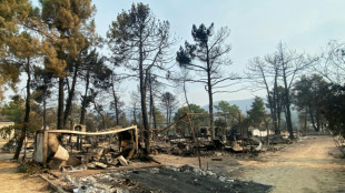 En Espagne, les flammes r&eacute;duisent un camping en cendres, semant le d&eacute;sespoir