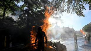 Multiples affrontements entre manifestants anti-G7 et police &agrave; Gen&egrave;ve (journalistes AFP)