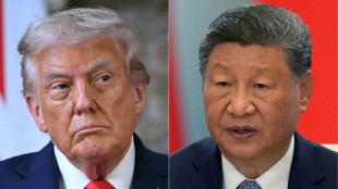 Trump says to push China's Xi on soybeans as US farmers struggle