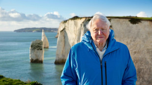 Una vespa cilena dedicata a Sir David Attenborough