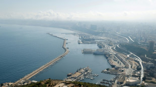 Desbaratan en Espa&ntilde;a una red que introdujo irregularmente a mil argelinos y sirios en Europa