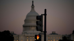 US government shutdown may last weeks, analysts warn