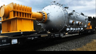 Pichetto, nucleare pi&ugrave; economico di altre fonti di energia