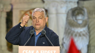 Les Hongrois commencent &agrave; voter entre fin de r&egrave;gne et cinqui&egrave;me mandat pour Viktor Orban