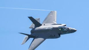 Un tribunal ordena a los Pa&iacute;ses Bajos que suspenda el suministro de piezas de F-35 a Israel