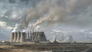 Turkey fires up coal pollution even as it hosts COP31