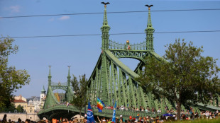 Hungr&iacute;a retira la enmienda que alentaba a delatar la homosexualidad