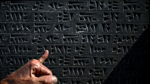 Self-taught Turkish 'linguist' keeps dead language alive 