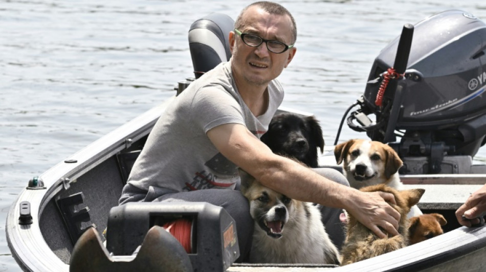 A Kherson noyée sous les eaux, la course pour sauver les animaux