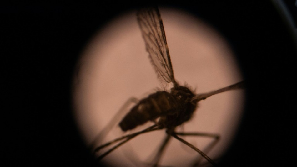 RKI: Vier Besch&auml;ftigte an Frankfurter Flughafen an Malaria erkrankt