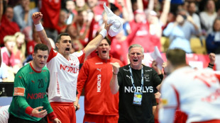 Euro de hand: le Danemark retrouvera l'Allemagne en finale