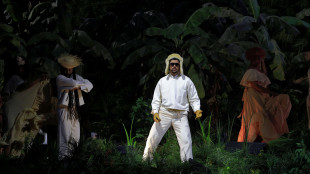 Bad Bunny al Superbowl infiamma l'universo Maga