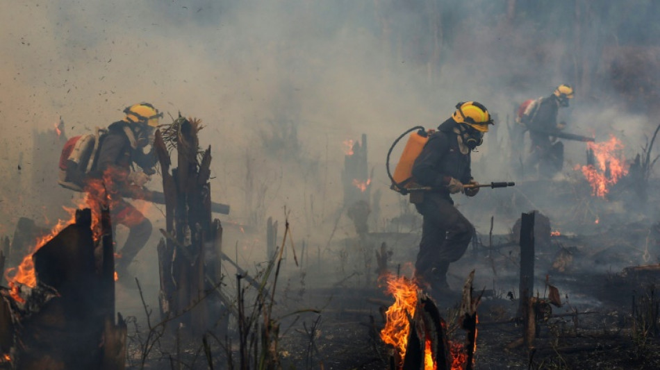 &Aacute;rea incendiada en Brasil casi se duplica en noviembre respecto a mismo mes en 2021