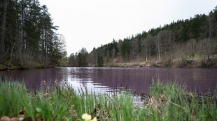 "Dinosaurier des Jahres": Nabu vergibt Umwelt-Negativpreis an Unions-Argrarminister