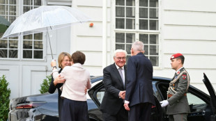 Steinmeier von Van der Bellen bei Staatsbesuch in Österreich empfangen