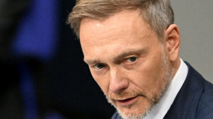 Lindners Einstieg bei US-Beratungsfirma sorgt für Kritik