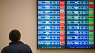 US-Haushaltssperre: Mehr als 800 Inlandsflüge gestrichen