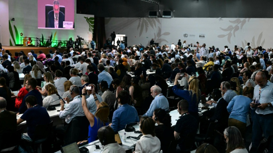 Verh&auml;rtete Fronten: Bei Weltklimakonferenz in Bel&eacute;m droht Ausgang ohne Vereinbarung