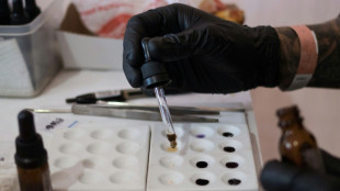 Desmantelado un gran laboratorio de &eacute;xtasis en Espa&ntilde;a