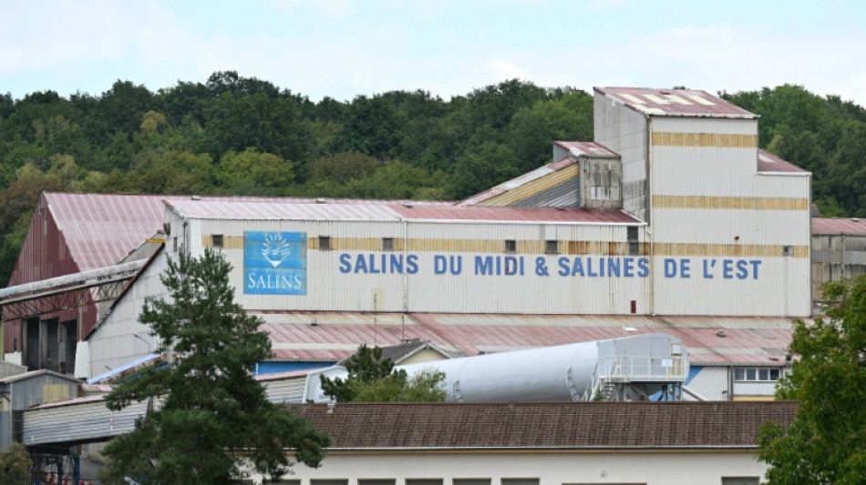 Le tr&egrave;s long chemin pour relancer l'activit&eacute; mini&egrave;re en France et en Europe